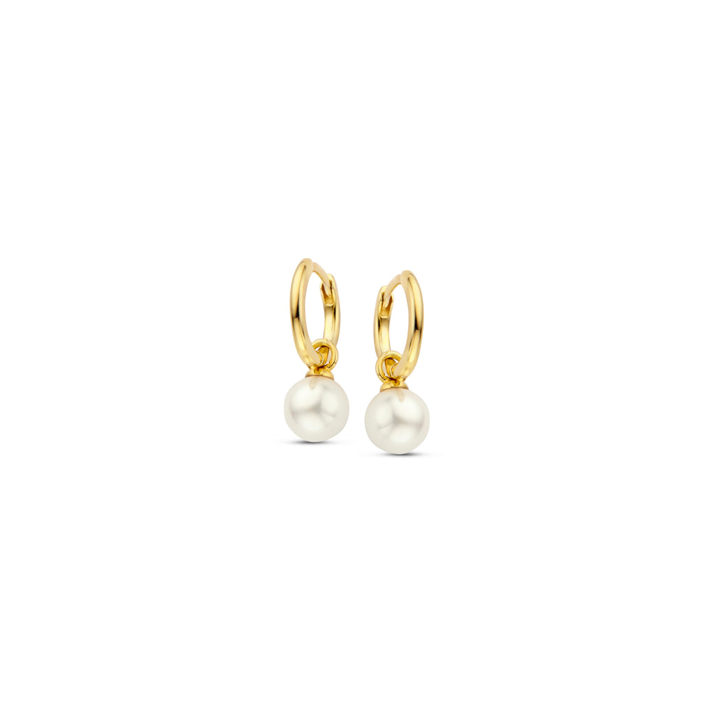 Boucle d'oreilles Naiomy plaqué or B2F56