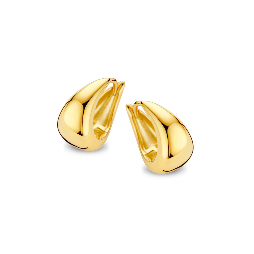 Boucle d'oreilles plaqué or Naiomy N4P55