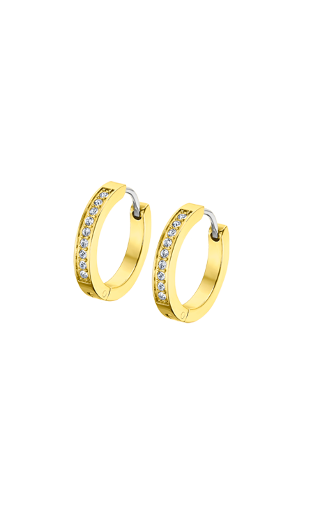 Boucle d'oreilles acier dame