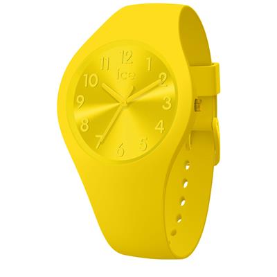 Montre Ice Watch