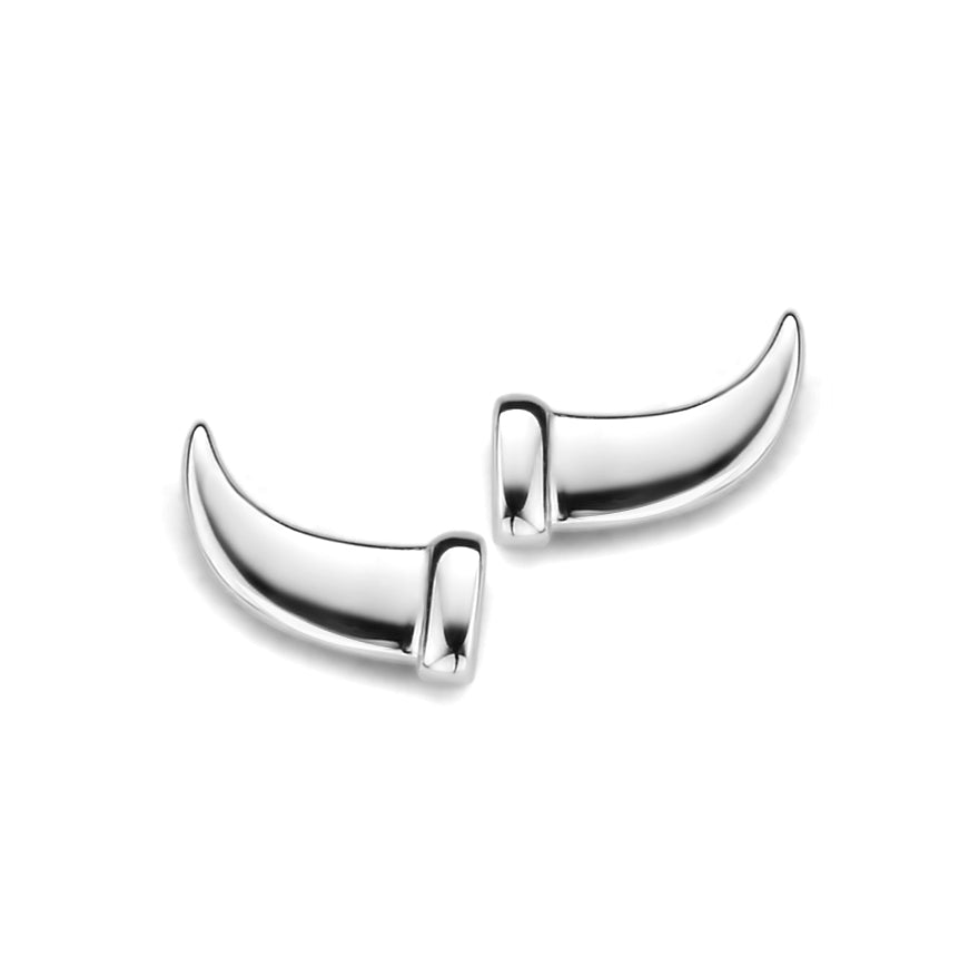 Boucle d'oreilles argent B0W07