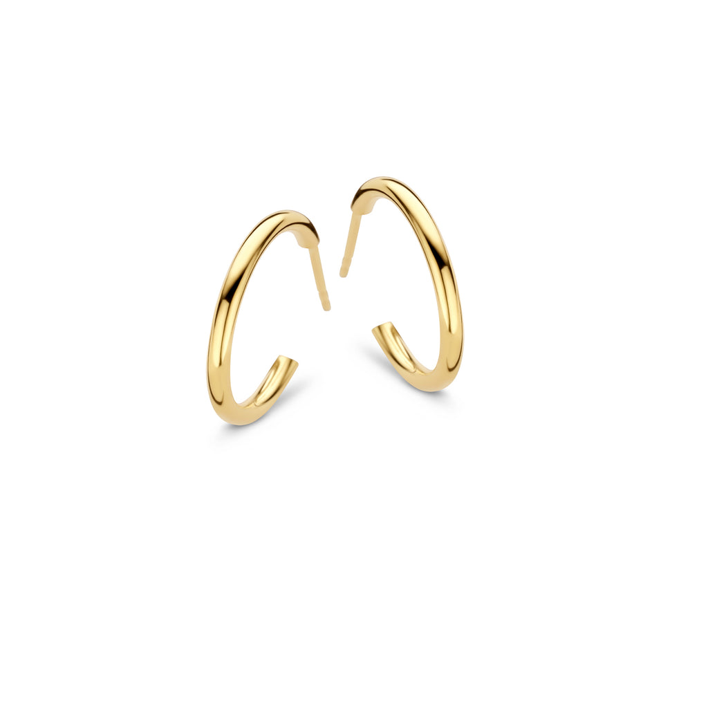 Boucle d'oreilles plaqué or B1X04
