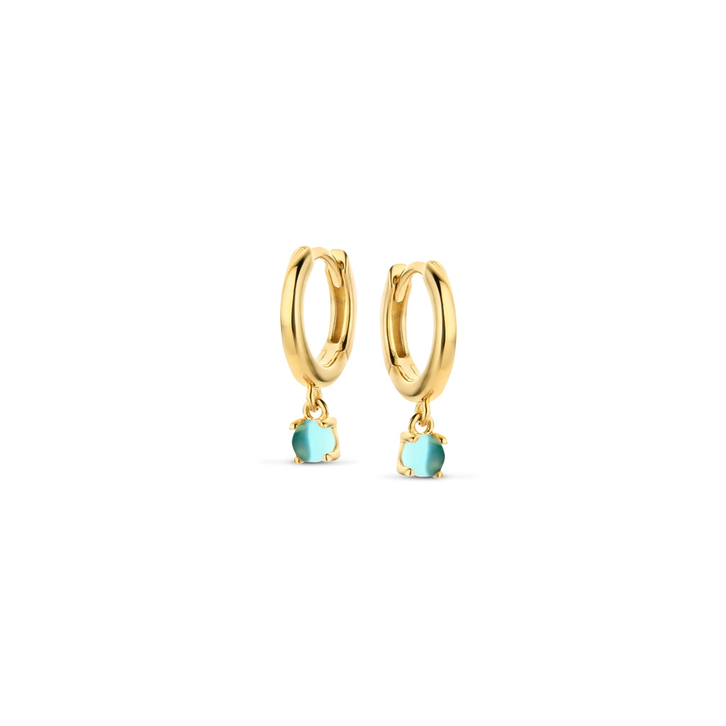 Boucle d'oreilles plaqué or B2G54