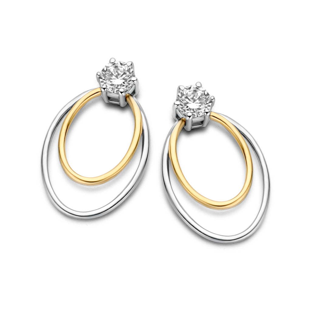 Boucle d'oreilles bicolore N0O56