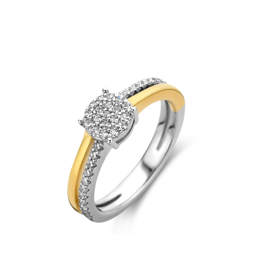 Bague bicolore N2N54