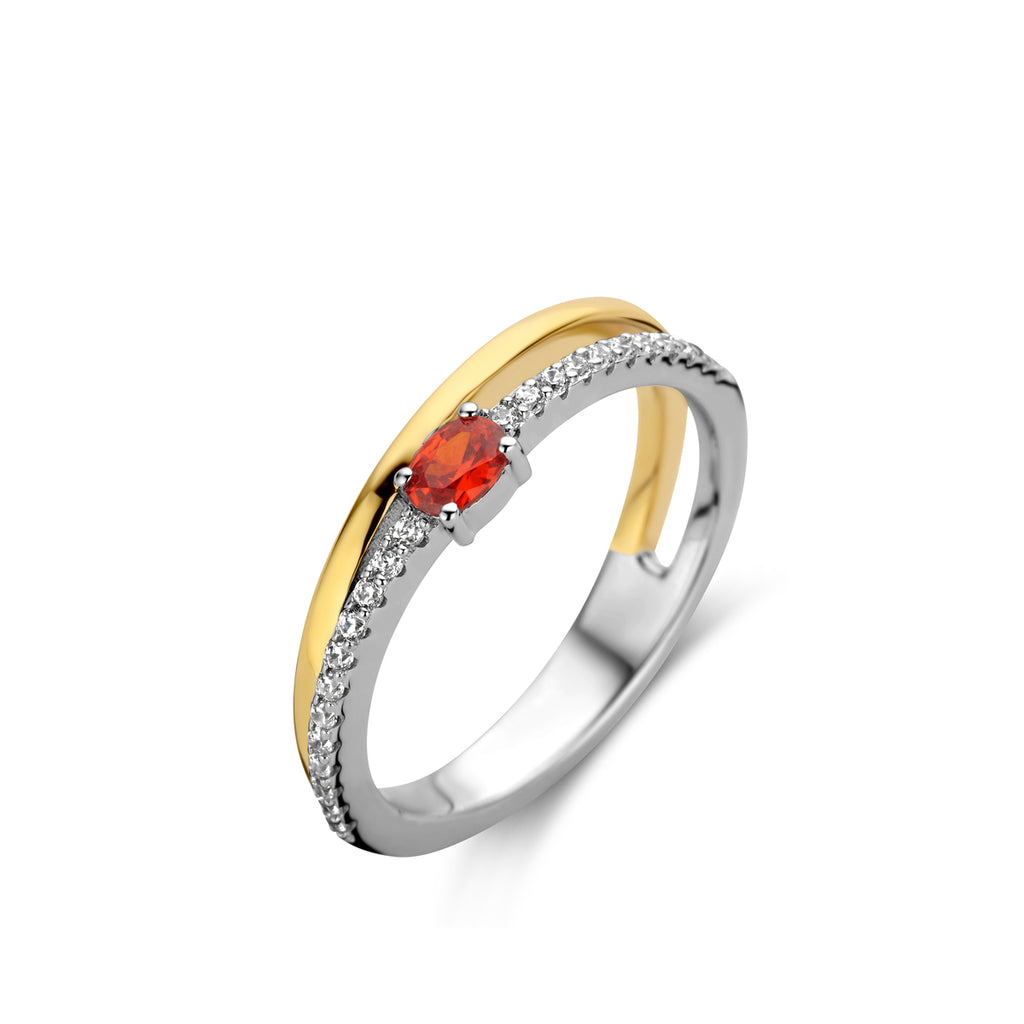 Bague bicolore N2U54