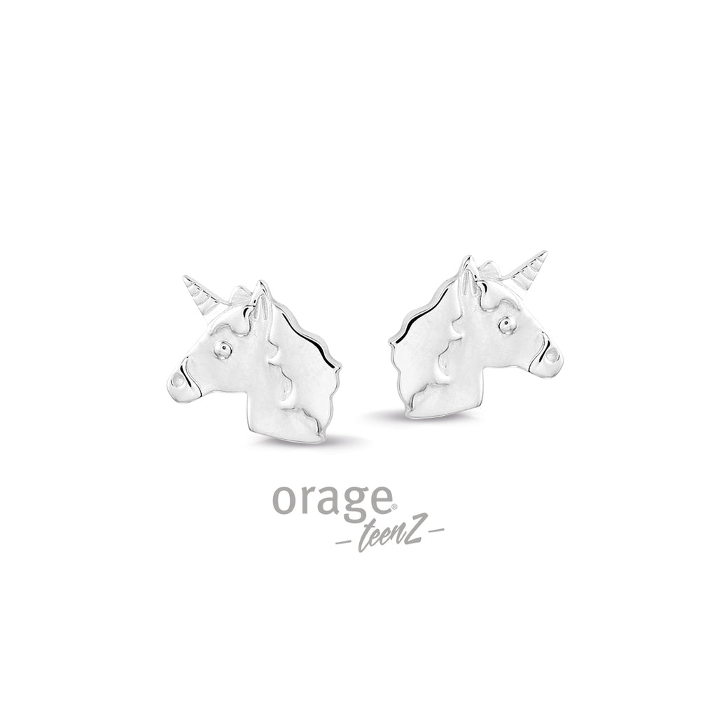 Boucle d'oreilles argent T322