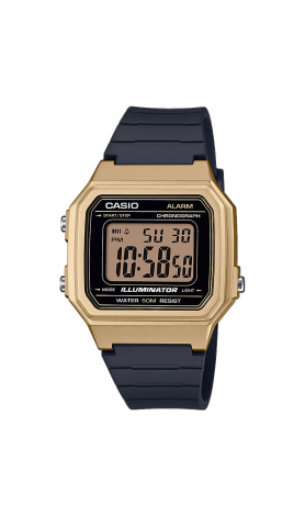 Montre Casio