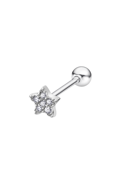 Boucle d'oreilles Lotus argent