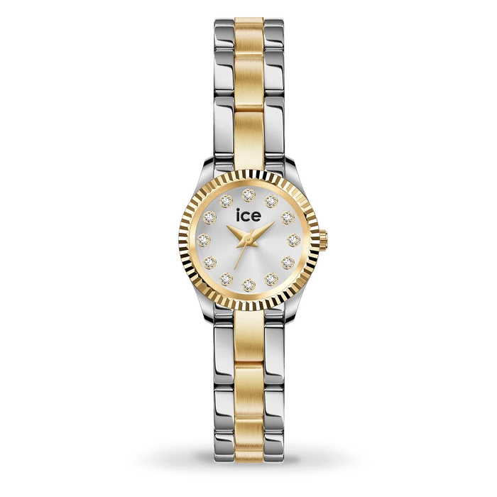 Montre Dame ice Watch 025537