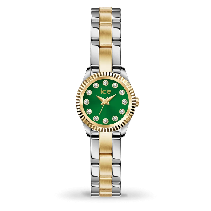 Montre Dame Ice Watch 025538