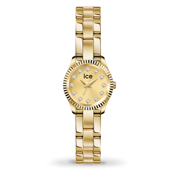 Montre Dame Ice Watch 025539