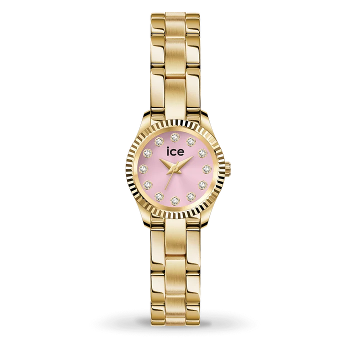 Montre Dame Ice Watch 025540