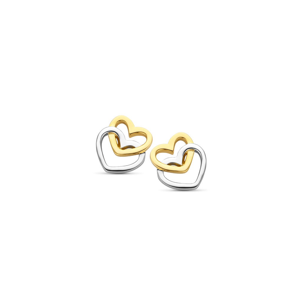 Boucle d'oreilles bicolore B2J53