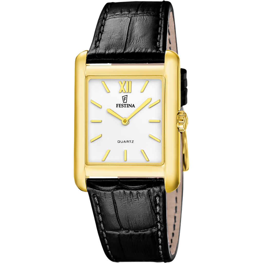 Montre Festina Homme F20772/3