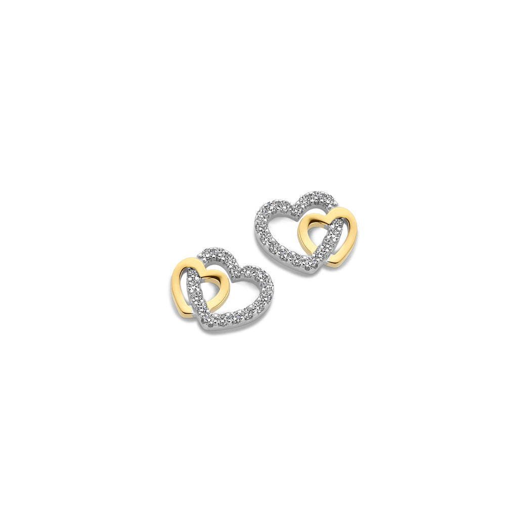Boucle d'oreilles bicolore N2X58
